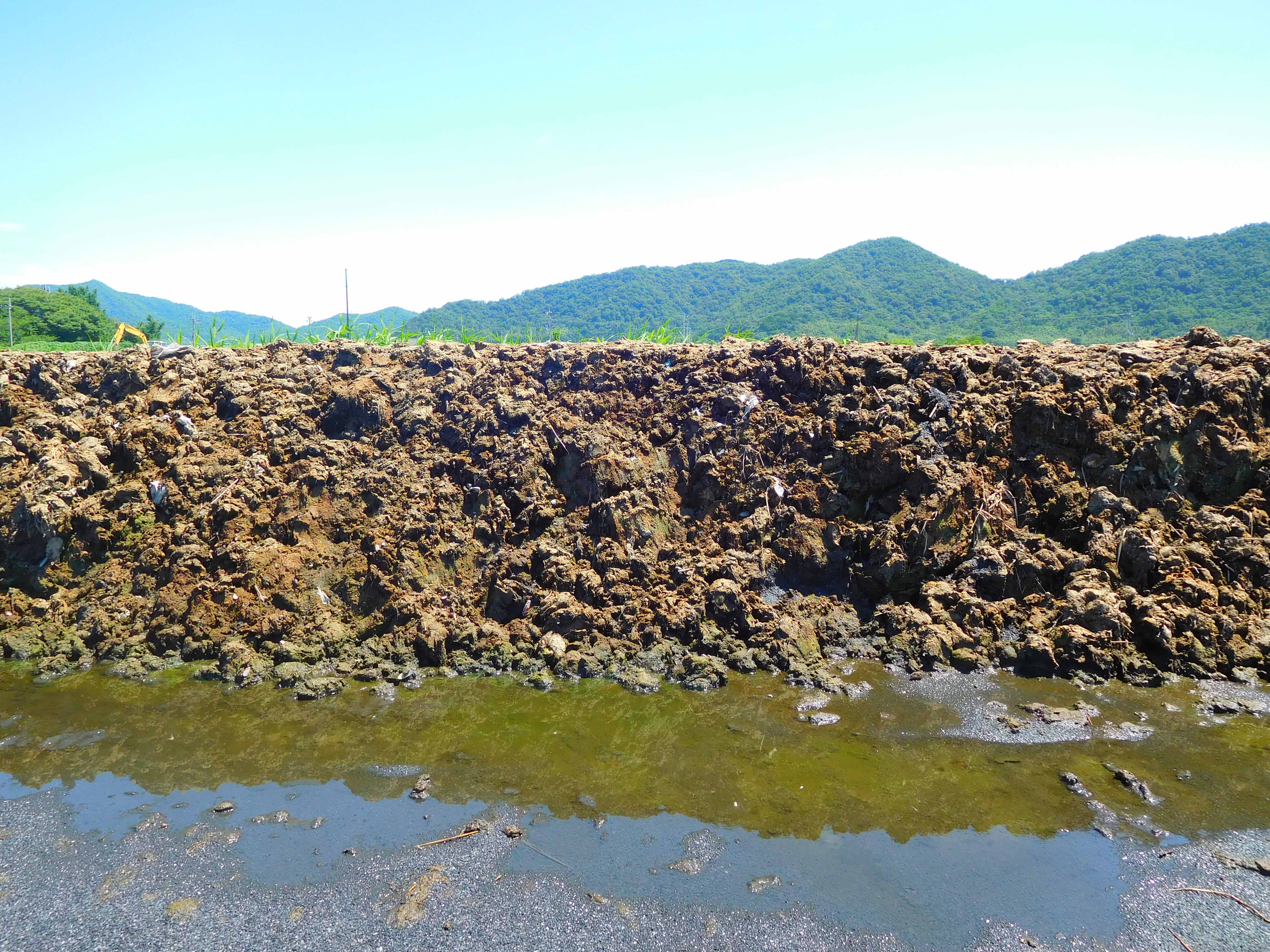 積み上げられた水草